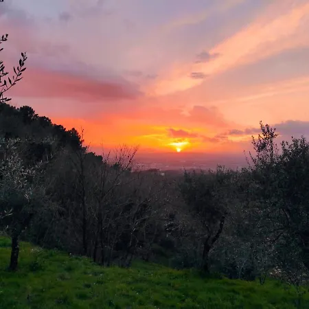 Rosso Baccara Montevettolini